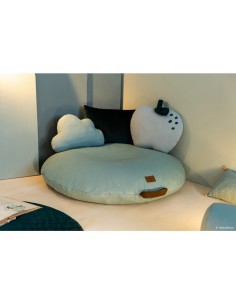 Coussin Apple 2