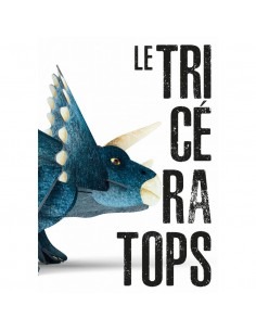 Sassi Livre Maquette -... 2