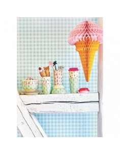 Bol mélamine PM Ice Cream 2