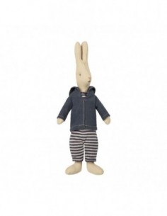 Lapin Marin